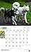For the Love of Siberian Huskies 2016 Calendar
