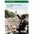 Civil Rights in the USA 1945-68 (Access to History)