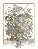 Twelve Months of Flowers, 1730/July Art Print Poster by Robert Furber