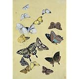 Butterflies. Japan, 19th century (Print On Demand)