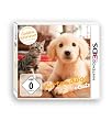 Nintendogs + cats Golden Retriever & ses nouveaux amis [import allemand]
