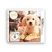 Nintendogs + Cats: Golden Retriever & Neue Freunde