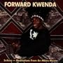Svikiro: Meditations From an Mbira Master