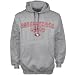 Search : Reebok San Francisco 49ers Ash Double Arch Hoody Sweatshirt