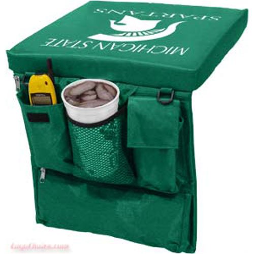 Michigan State Seat Cushion