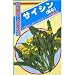 菜心(一般種)
