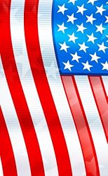 ZAGGskin Patriotic Flag for Motorola DROID