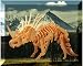 Styracosaurus Dinosaur 3D Puzzle, Woodcraft Construction Kit