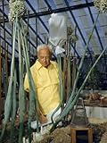 Scientist in a Greenhouse Works on Crossbreeding Onions Photographic Poster Print by Jack Fletcher, 30x40