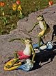 2 Assorted Surfing Frogs