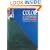 Color in Contemporary Painting: Integrating Practice and Theory