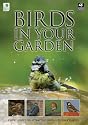 Birds in Your Garden (Rhs)