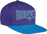 Charlotte Hornets Adidas NBA Name & Logo Snap Back Hat
