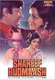 Shareef Budmaash (1973) (Hindi Film / Bollywood Movie / Indian Cinema DVD)
