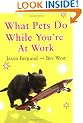 What Pets Do While You're at Work