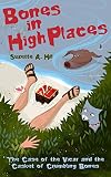 Bones in high places : the case of the vicar and the casket of crumbling bones