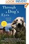 Through a Dog's Eyes