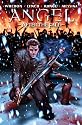 Angel: After The Fall Volume 3 HC: After the Fall v. 3 (Angel (IDW Publishing))
