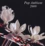 Pop Ambient 2009