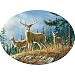 Search : Buffalo Games Oval Cameo: Hautman - Whitetails