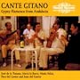 Cante Gitano - Gypsy Flamenco from Andalucia