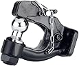 Reese Towpower 74116 2" Ball and Pintle Hook
