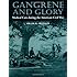 Gangrene and Glory: Medical Care during the American Civil War