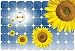 Provides Electrical Outlet in Organic Solar Power - 24