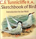 A sketchbook of birds