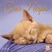 Cat Naps 2008 Wall Calendar