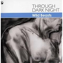 Through Dark Night [7" VINYL]