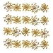 Silver J Pressed flowers, natural dried Queen Anne's Lace, 2 packs. Wedding confetti