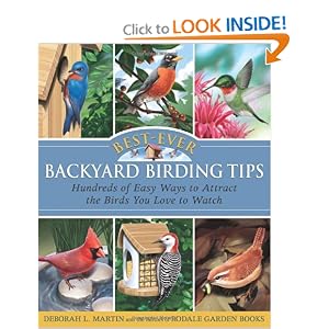 Attracting Backyard Birds Inviting Feathered