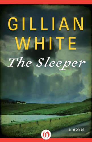 The Sleeper: A Novel