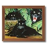 IMAGE OF Black Panthers Cat Tropical Animal Wildlife Picture Oak Framed Art Print