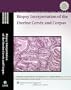 Biopsy Interpretation of the Uterine Cervix and Corpus
