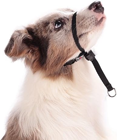 Petperi Gentle Leader Dog Head Collar (S, Black)