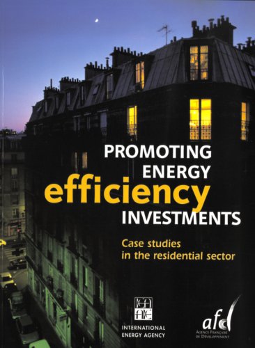 Promoting Energy Efficiency Investments: Case Studies in the Residential Sector