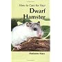 How To Care For Your Dwarf Hamster