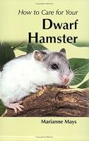 How To Care For Your Dwarf Hamster