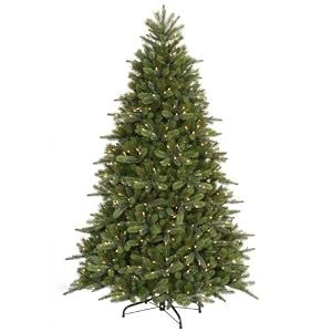 Prelit Hawthorne Instant Shape Clear Lights - Green (7')