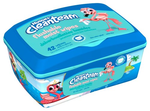 Huggies Clean Team Flushable Moist Wipes , 42 wipes