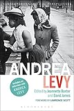 Andrea Levy : contemporary critical perspectives