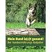 Dem Hund gerecht werden