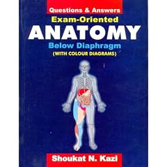Questions & Answers: Exam Oriented Anatomy Below Diaphragm(With Colour Diagrams): Below Diagrams
