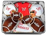 Hand Decorated Wisconsin Badger Sugar Cookie Gift Tin