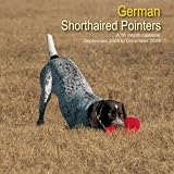 German Shorthaired Pointers 2009 Wall Calendar 12