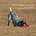   - German Shorthaired Pointers 2009 Wall Calendar 12