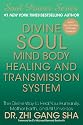 Divine Soul Mind Body Healing and Transmission System: The Divine Way to Heal You, Humanity, Mother Earth, and All Universes