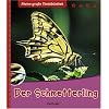 Meine gro�e Tierbibliothek: Der Schmetterling